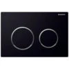 Geberit Omega20 Dual Flush Plate - Black/brushed Chrome