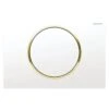 Geberit Type 10 Flush Plate - White/gold